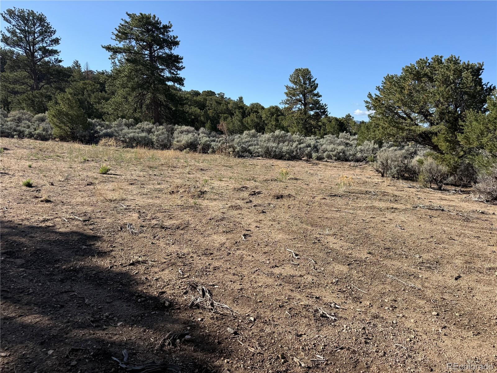 Lot 7067 Waligunda Road Fort Garland CO 81133