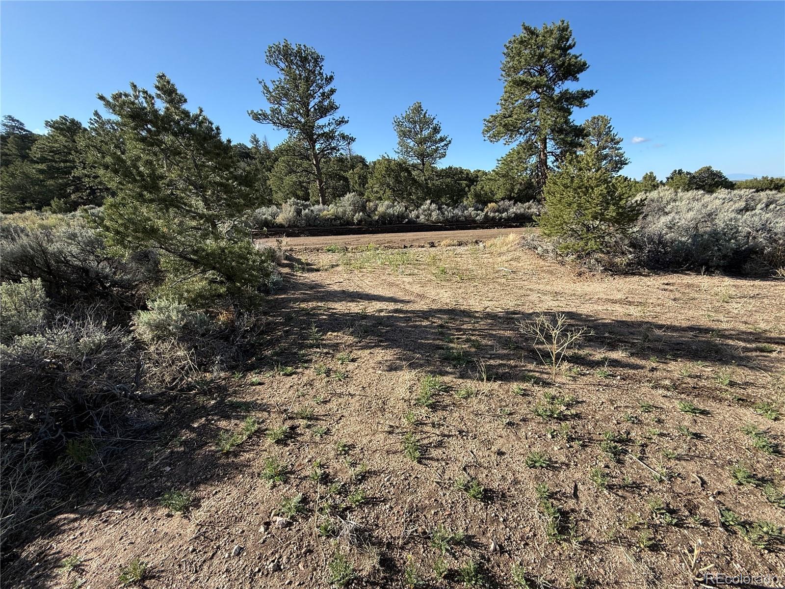Lot 7067 Waligunda Road Fort Garland CO 81133