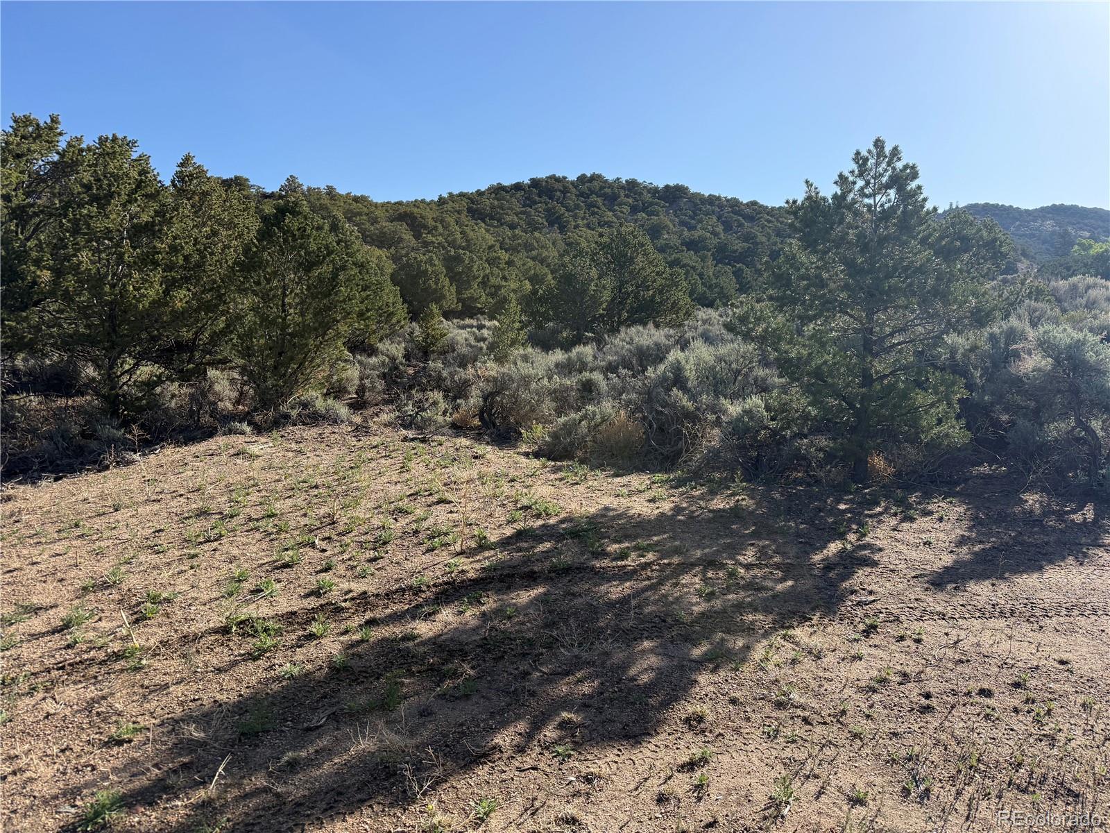 Lot 7067 Waligunda Road Fort Garland CO 81133