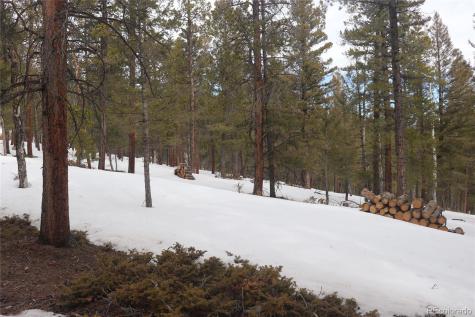 Aspen Turn Buena Vista CO 81211