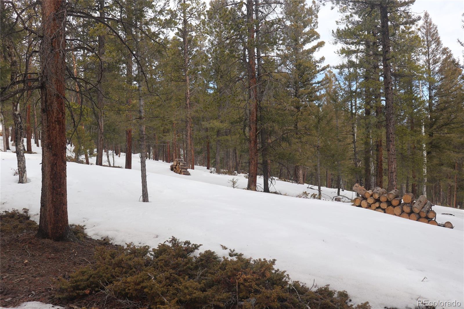 Aspen Turn Buena Vista CO 81211