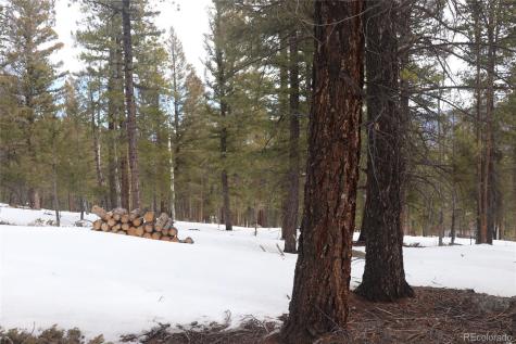 Aspen Turn Buena Vista CO 81211