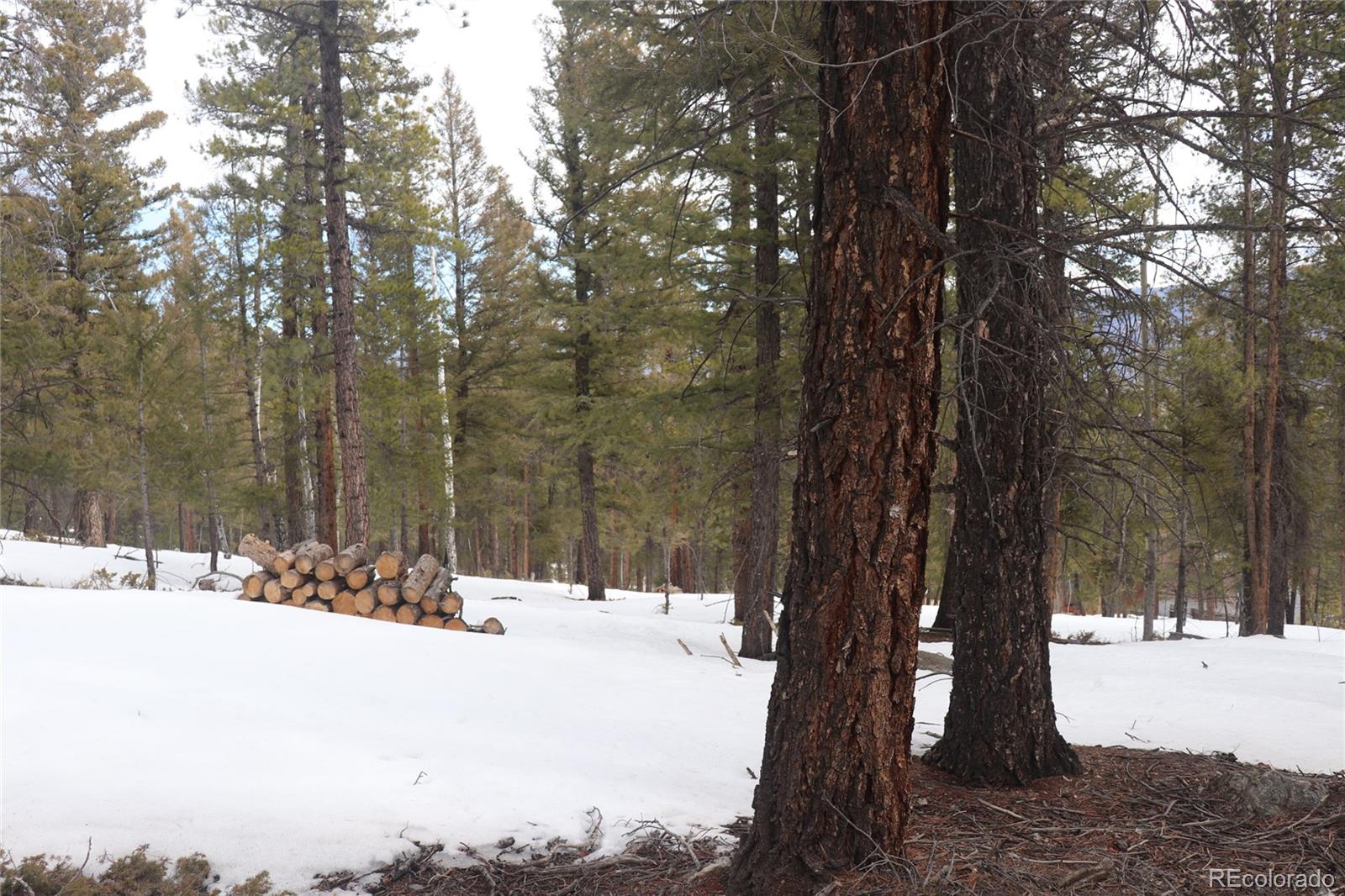 Aspen Turn Buena Vista CO 81211