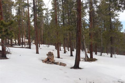 Aspen Turn Buena Vista CO 81211
