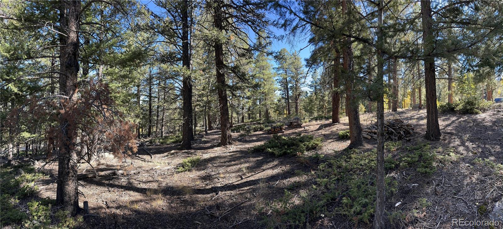 Aspen Turn Buena Vista CO 81211