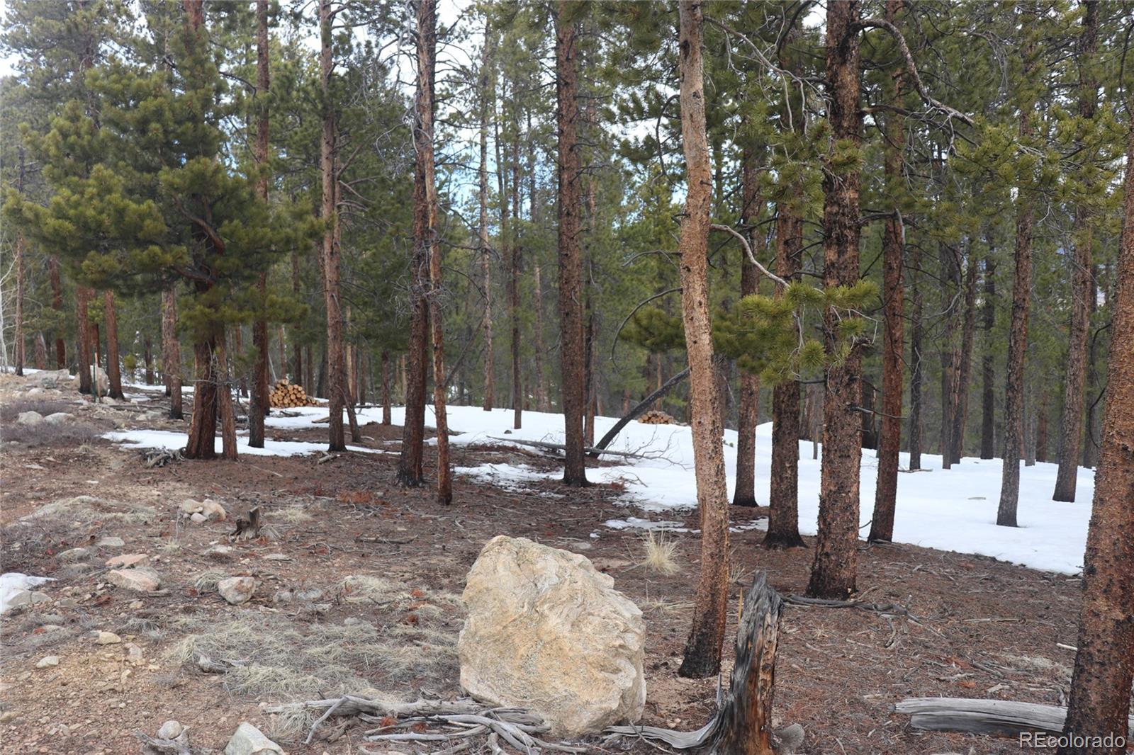 Aspen Turn Buena Vista CO 81211