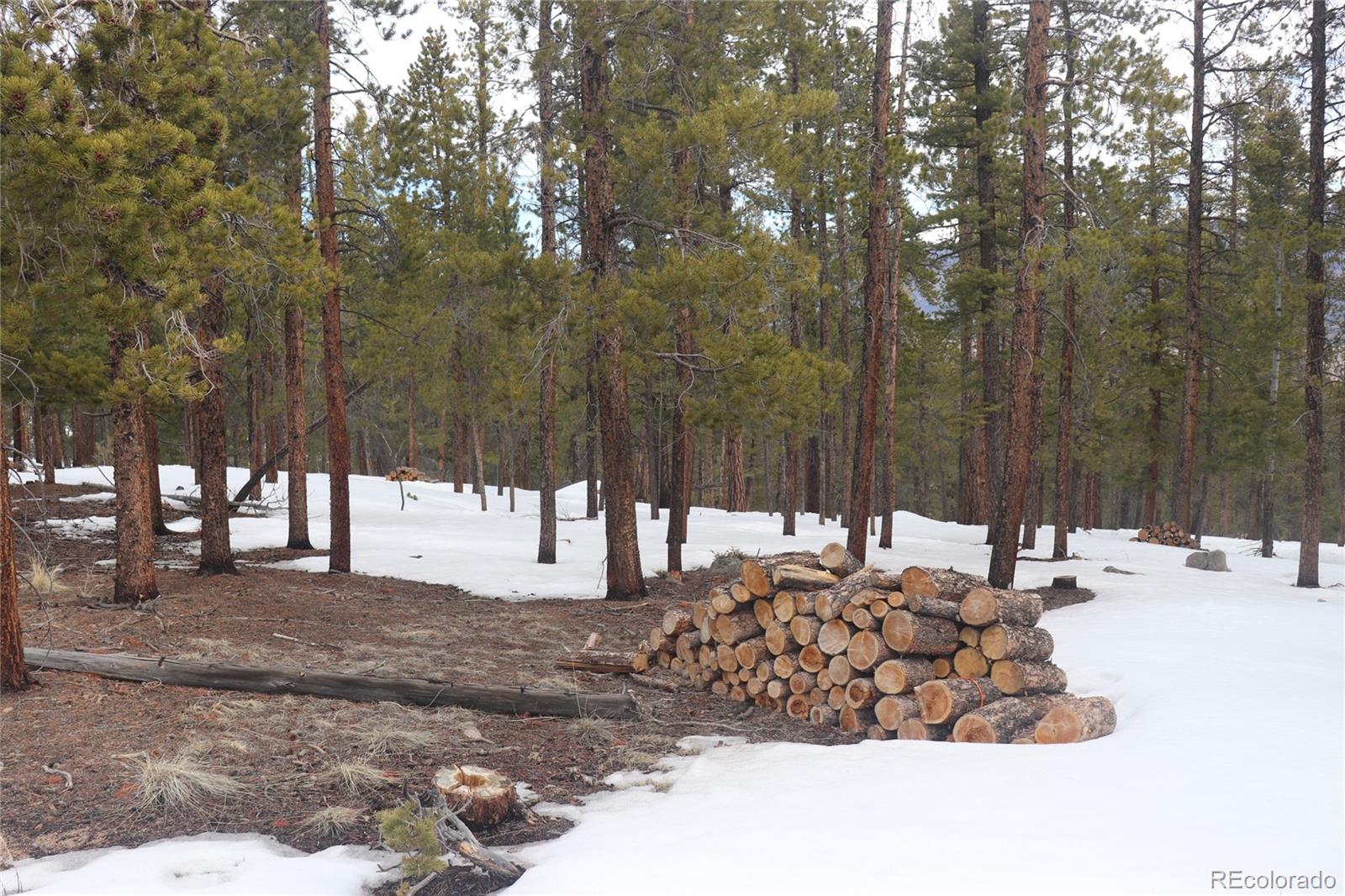 Aspen Turn Buena Vista CO 81211