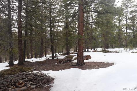 Aspen Turn Buena Vista CO 81211