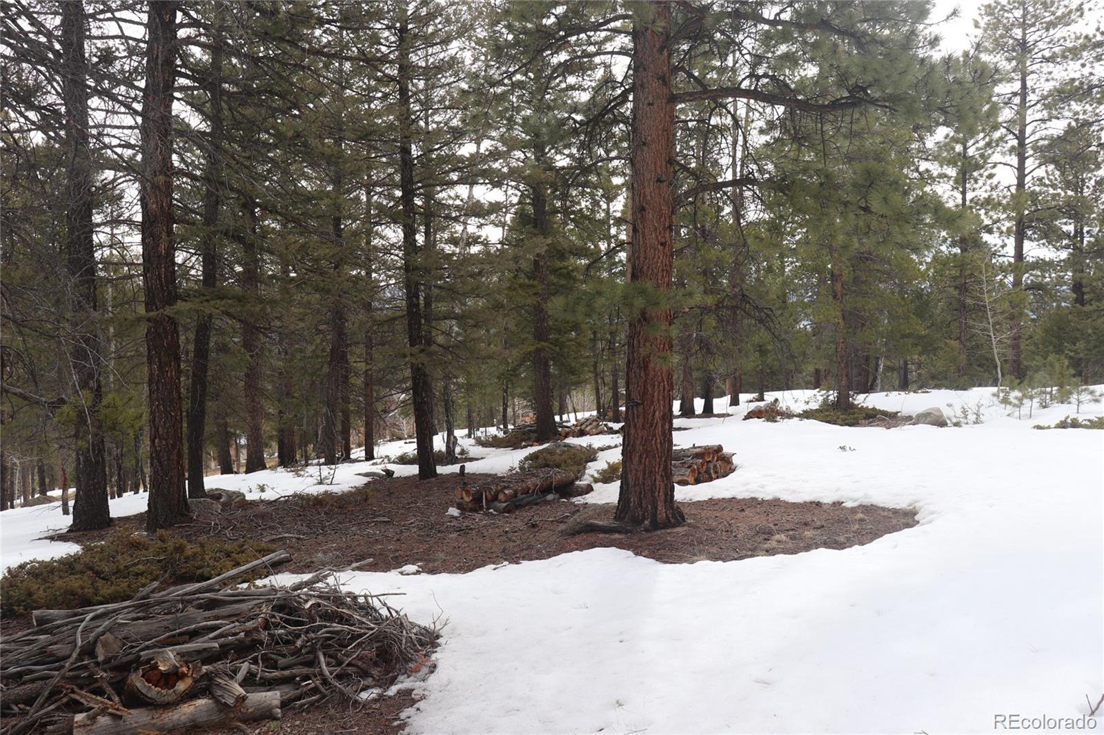 Aspen Turn Buena Vista CO 81211
