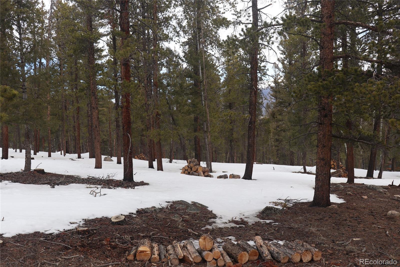 Aspen Turn Buena Vista CO 81211
