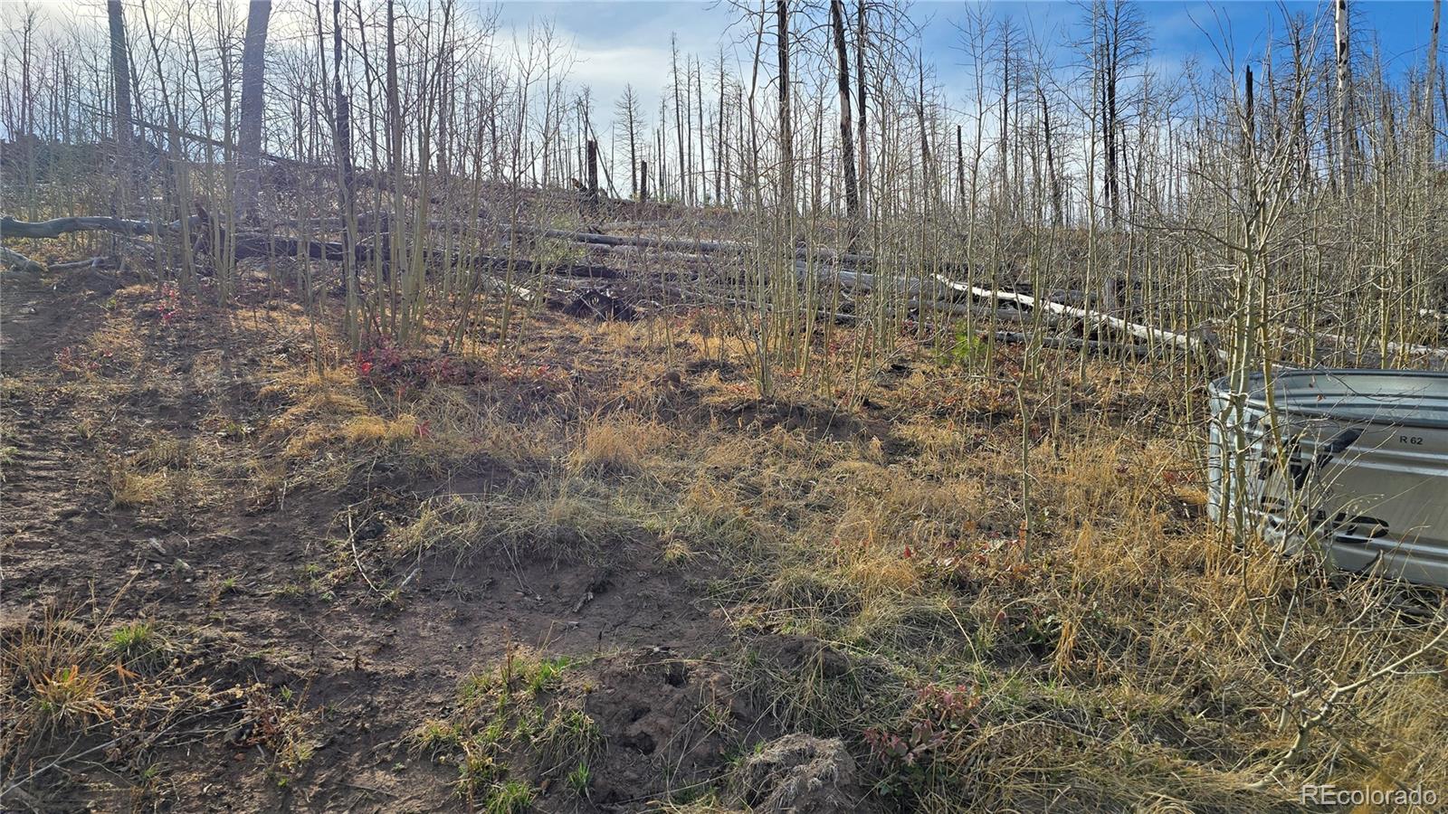 Lot 880 Slaoui Place Fort Garland CO 81133