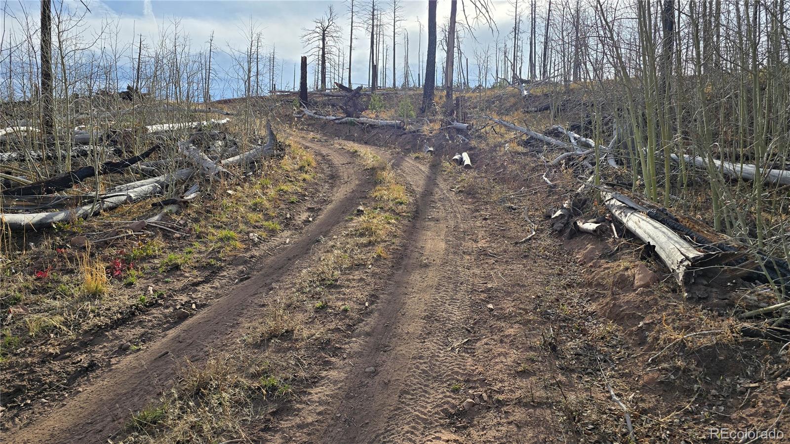 Lot 880 Slaoui Place Fort Garland CO 81133