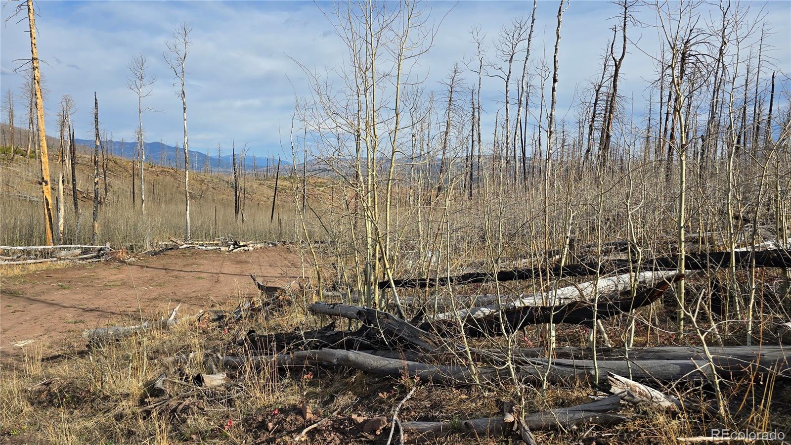Lot 880 Slaoui Place Fort Garland CO 81133