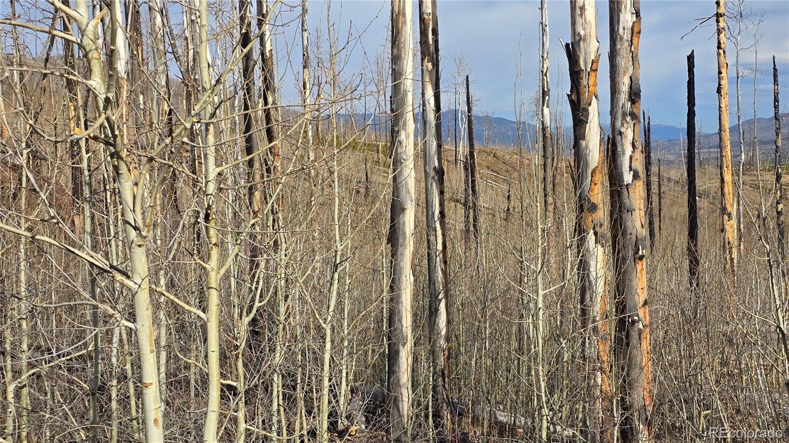 Lot 880 Slaoui Place Fort Garland CO 81133