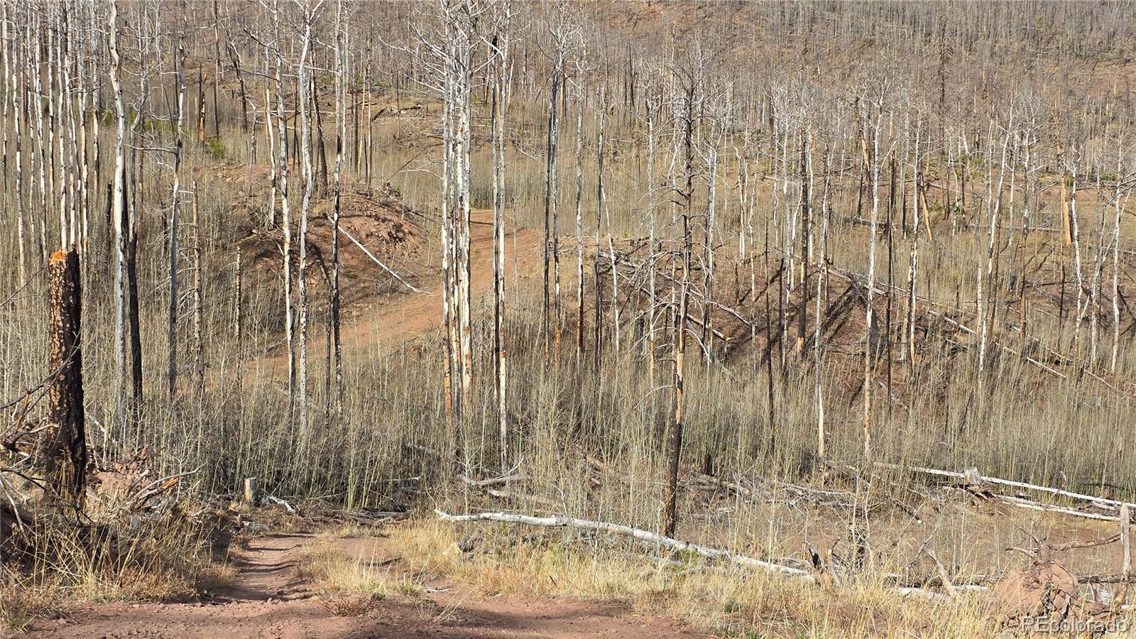 Lot 880 Slaoui Place Fort Garland CO 81133
