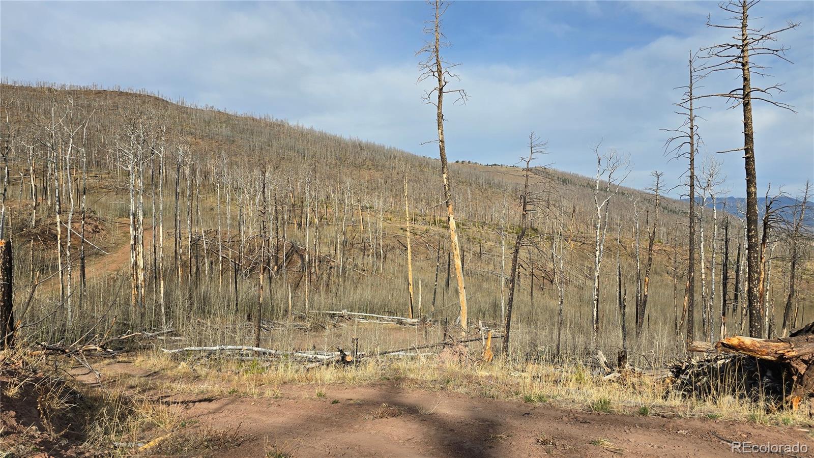 Lot 880 Slaoui Place Fort Garland CO 81133