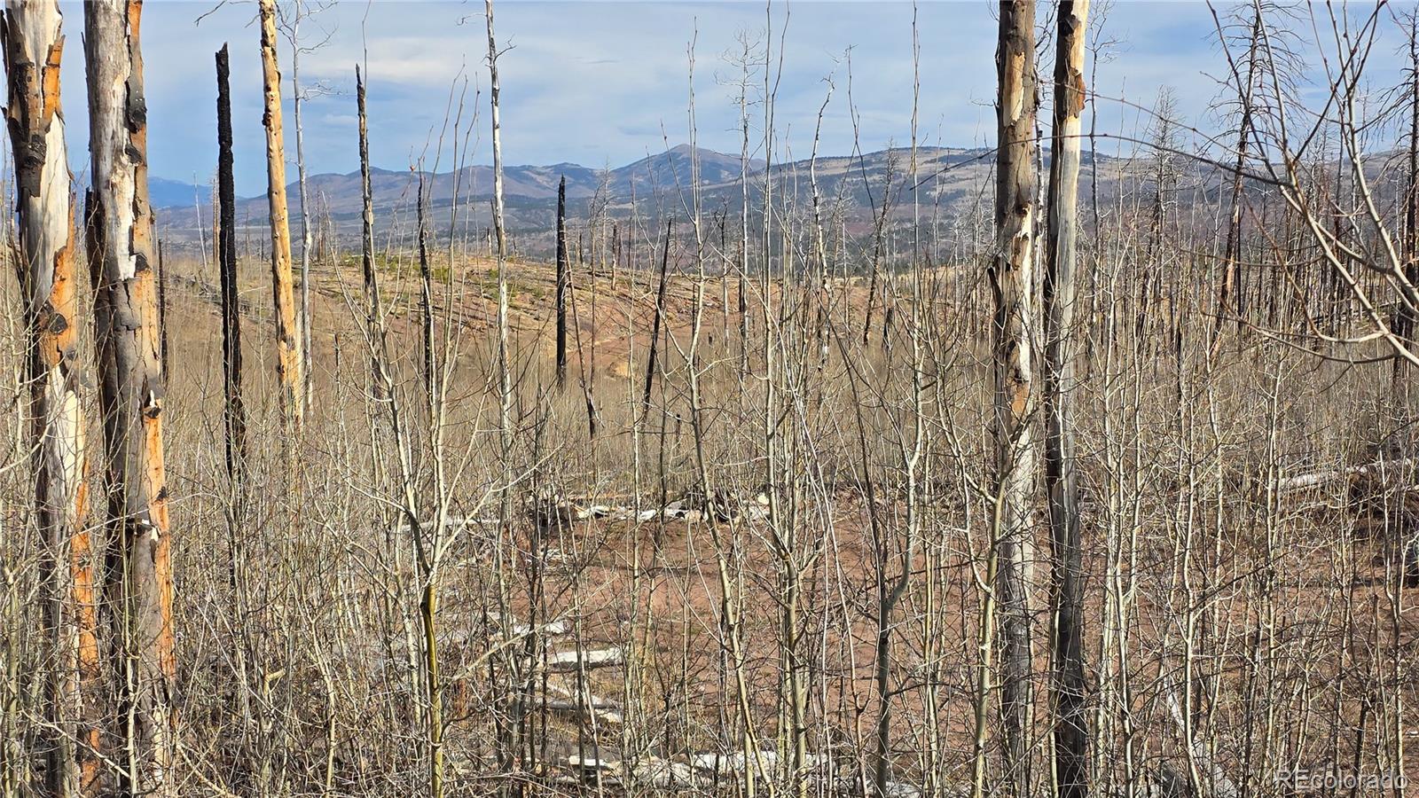 Lot 880 Slaoui Place Fort Garland CO 81133