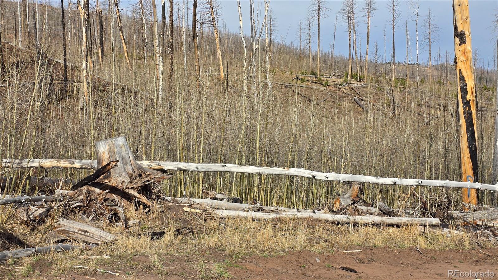 Lot 880 Slaoui Place Fort Garland CO 81133