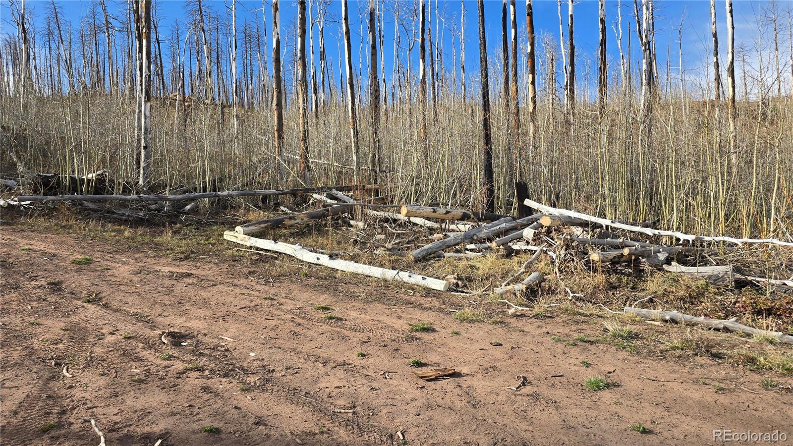 Lot 880 Slaoui Place Fort Garland CO 81133
