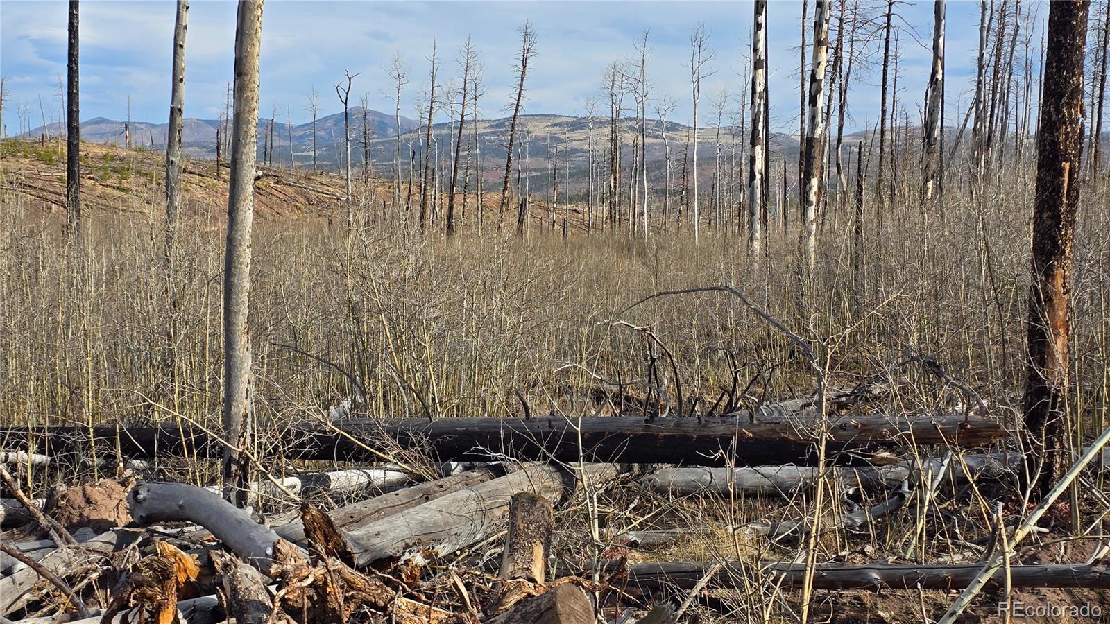 Lot 880 Slaoui Place Fort Garland CO 81133