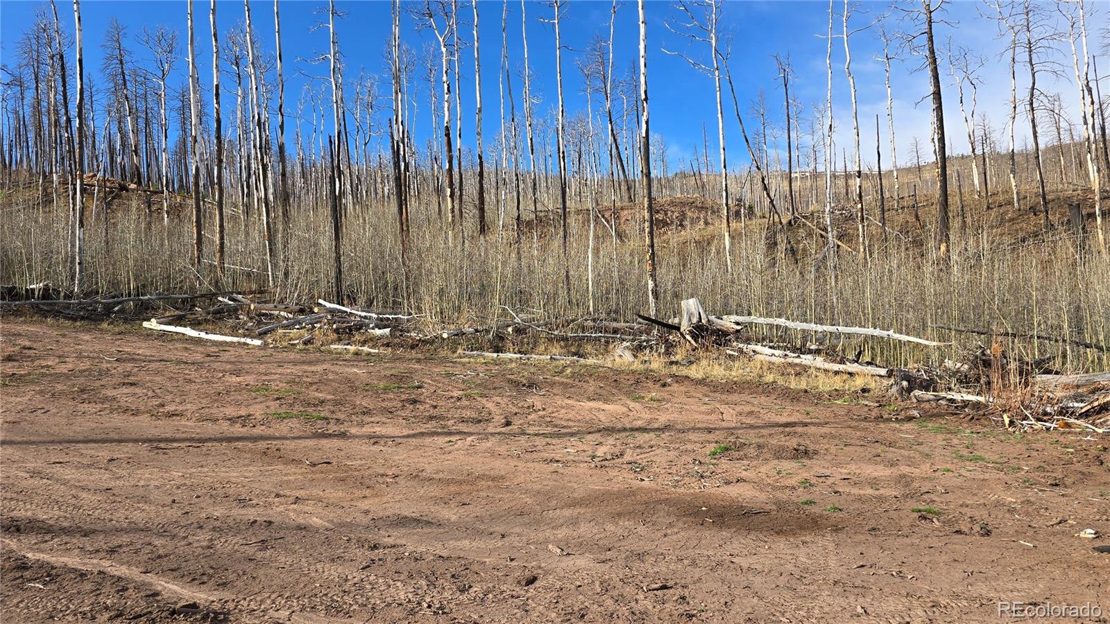 Lot 880 Slaoui Place Fort Garland CO 81133