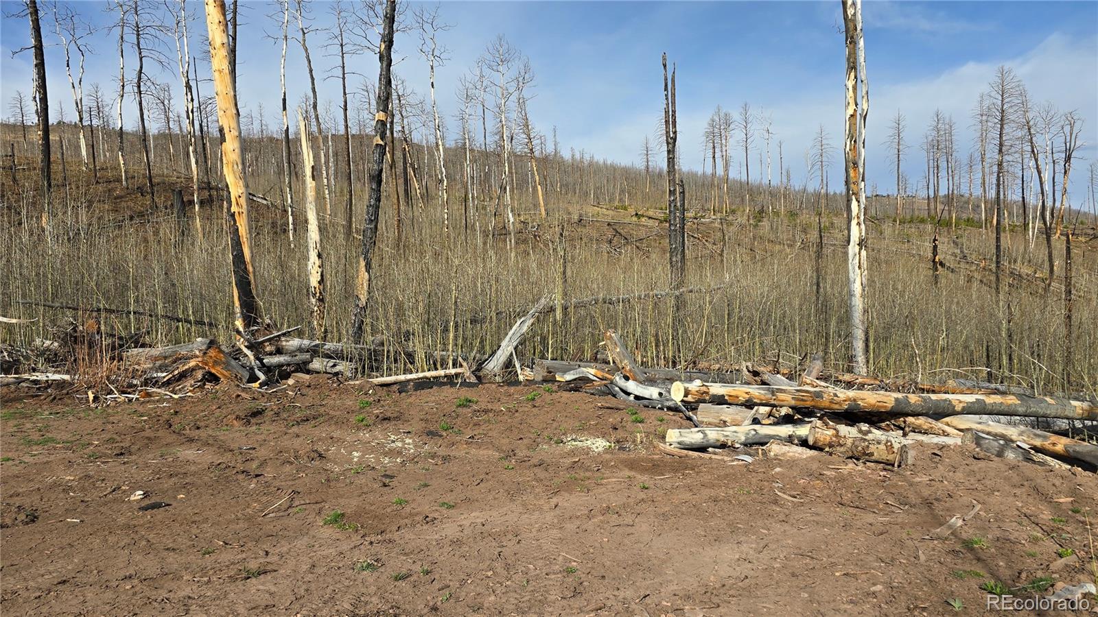 Lot 880 Slaoui Place Fort Garland CO 81133