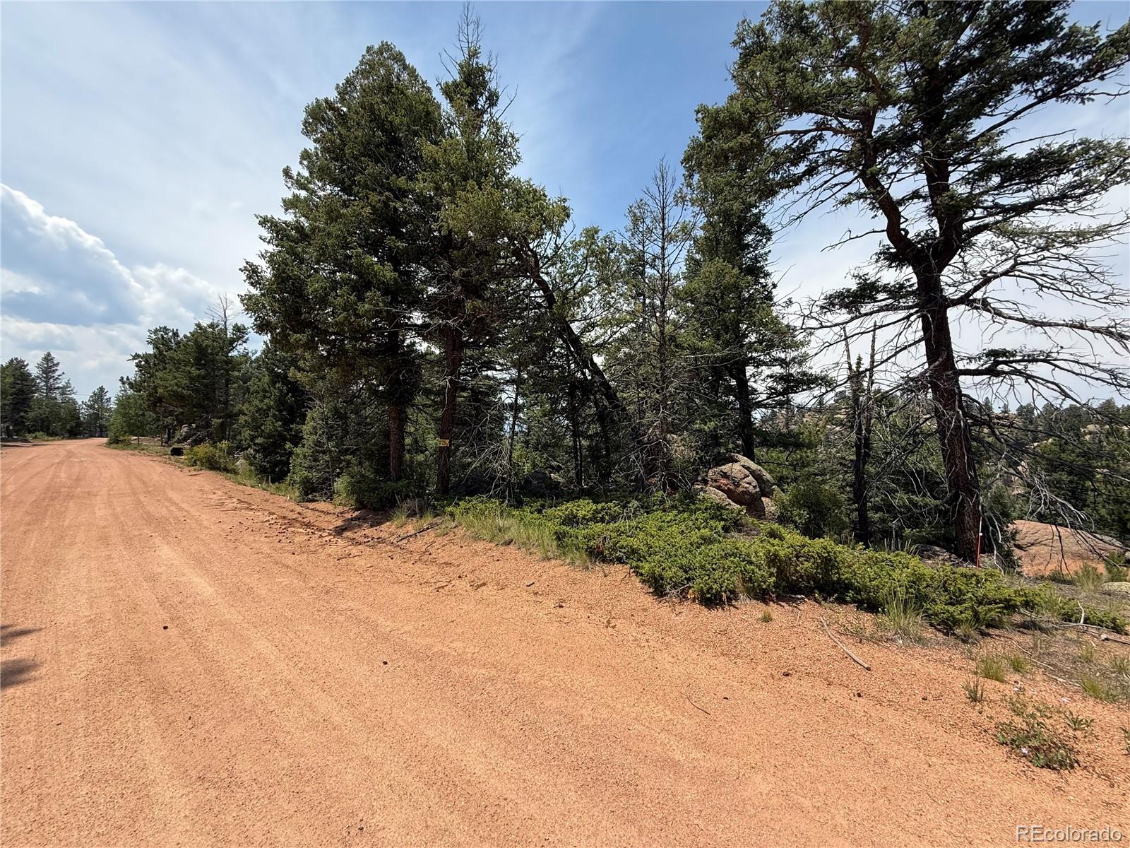 3546 N Mountain Estates Road Florissant CO 80816