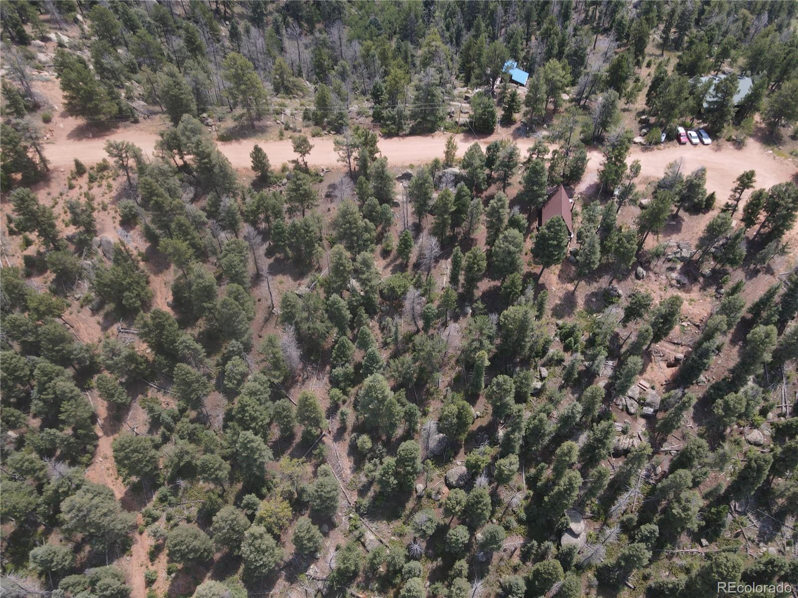 3546 N Mountain Estates Road Florissant CO 80816