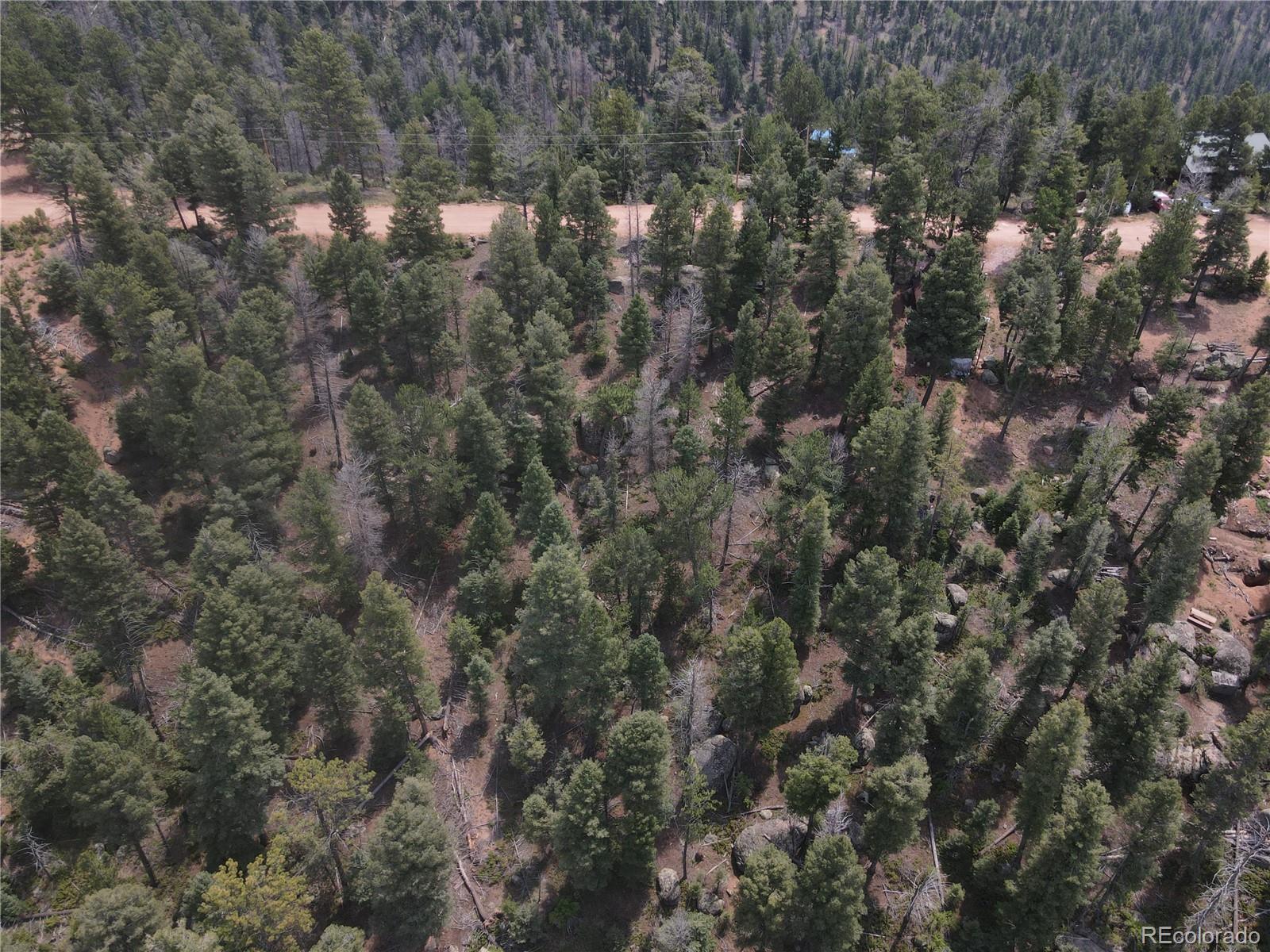 3546 N Mountain Estates Road Florissant CO 80816