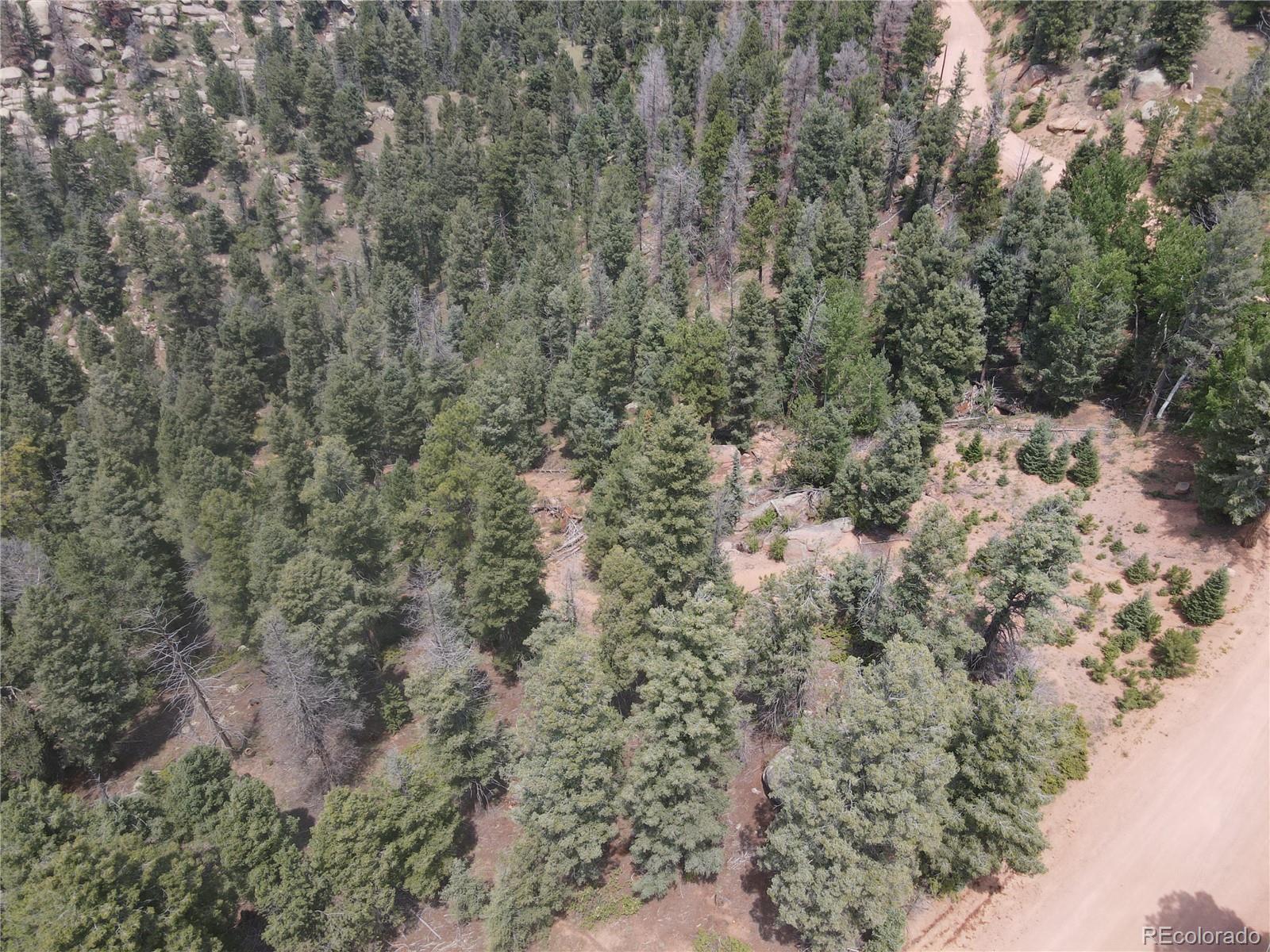 3546 N Mountain Estates Road Florissant CO 80816