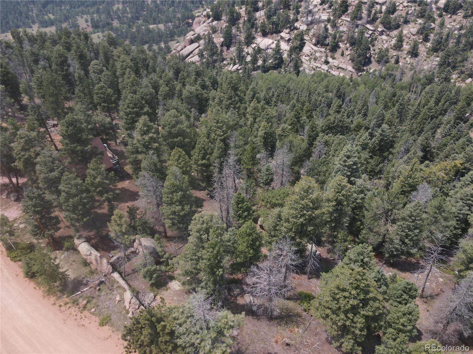 3546 N Mountain Estates Road Florissant CO 80816