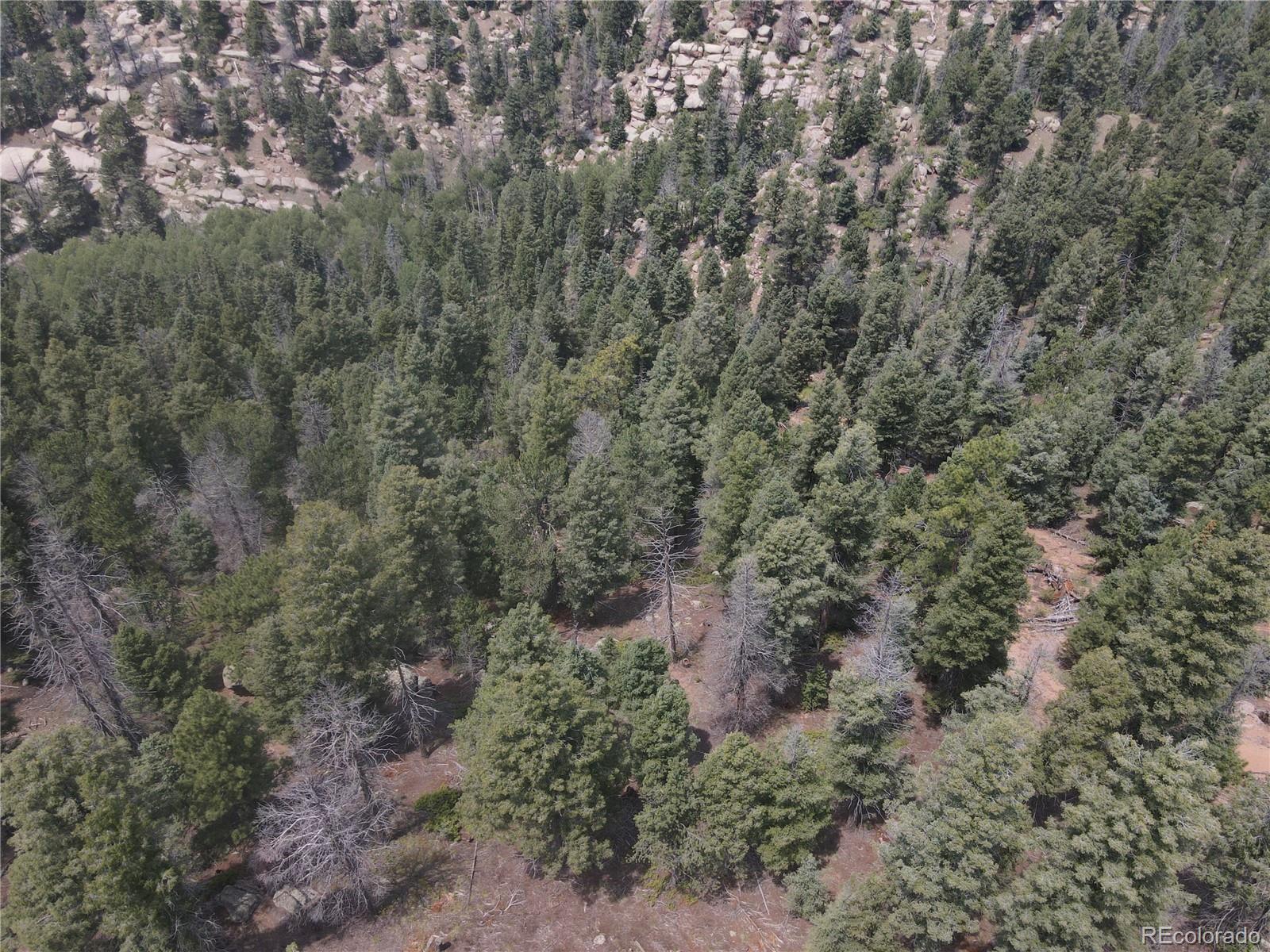 3546 N Mountain Estates Road Florissant CO 80816