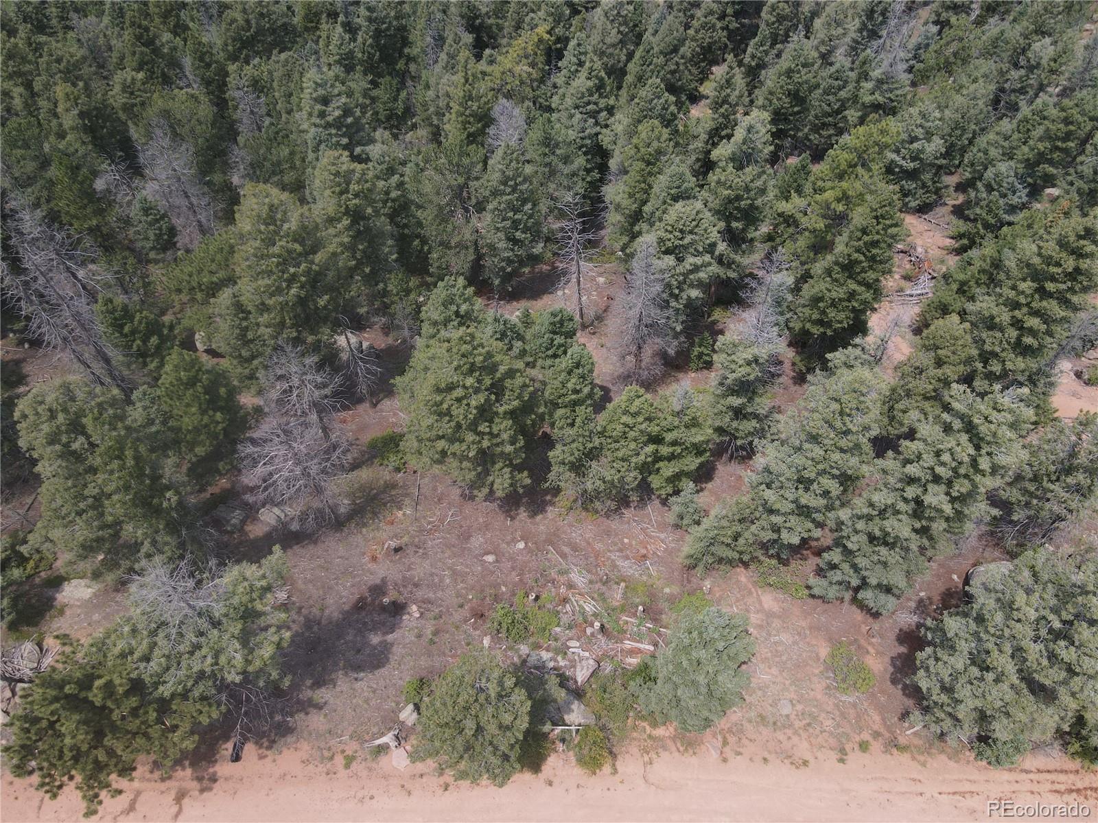 3546 N Mountain Estates Road Florissant CO 80816