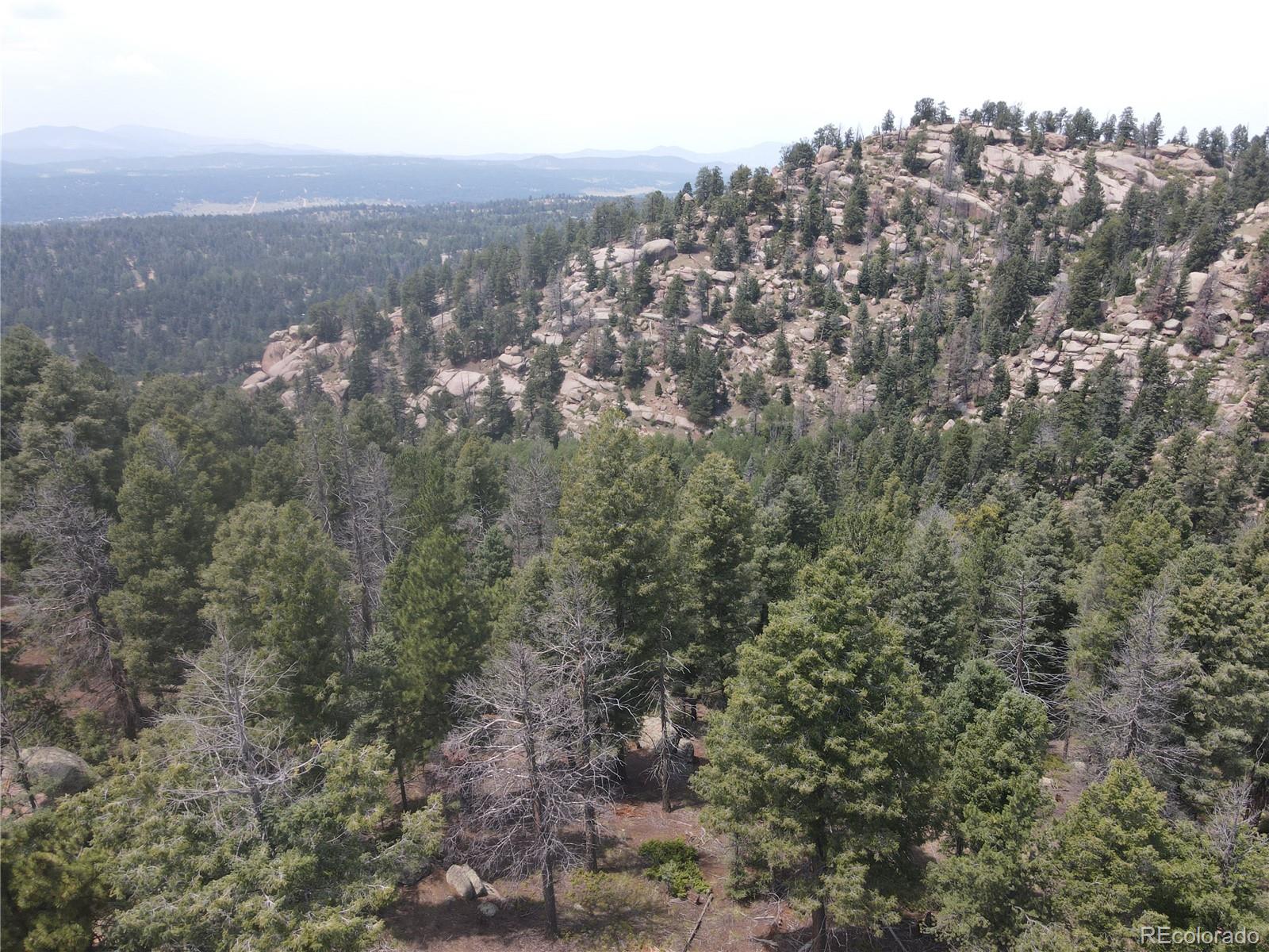3546 N Mountain Estates Road Florissant CO 80816