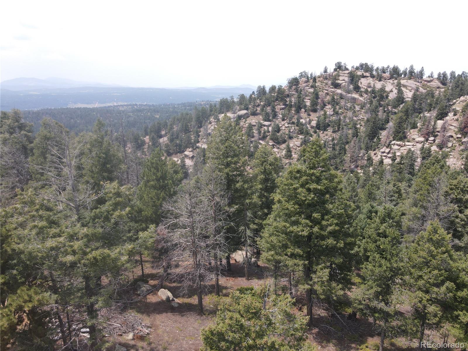 3546 N Mountain Estates Road Florissant CO 80816