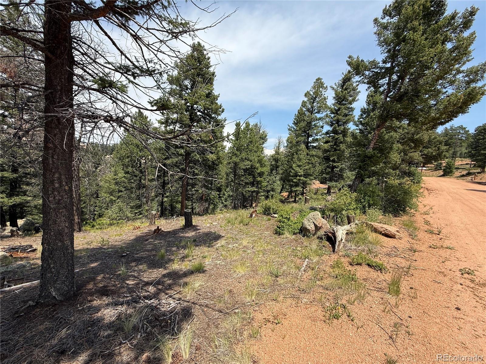 3546 N Mountain Estates Road Florissant CO 80816