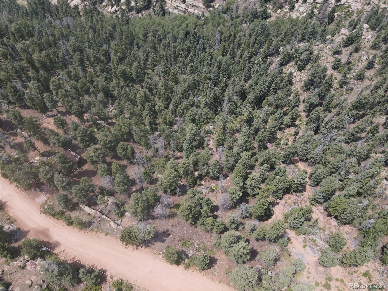 3546 N Mountain Estates Road Florissant CO 80816