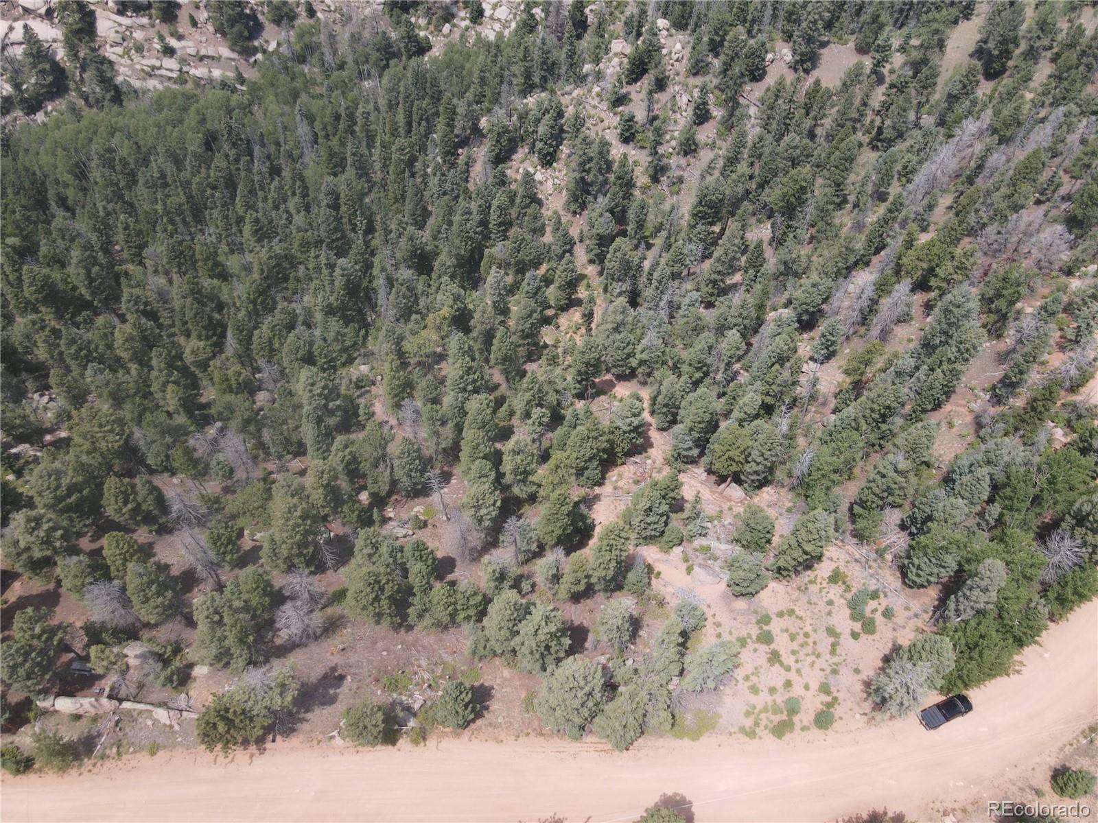3546 N Mountain Estates Road Florissant CO 80816