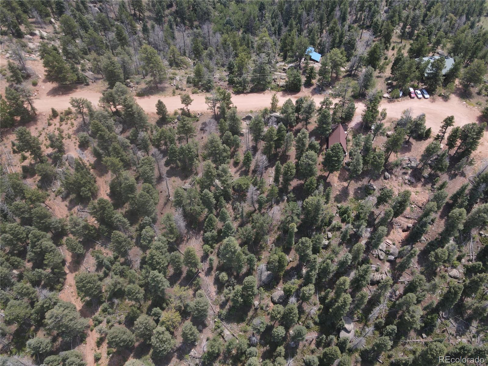3546 N Mountain Estates Road Florissant CO 80816