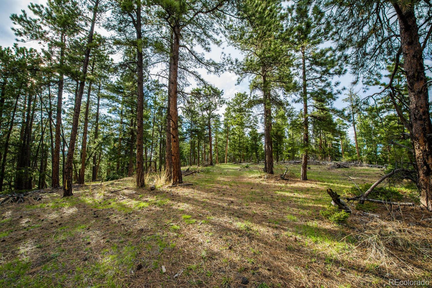 10250 Highway 73 Conifer CO 80433