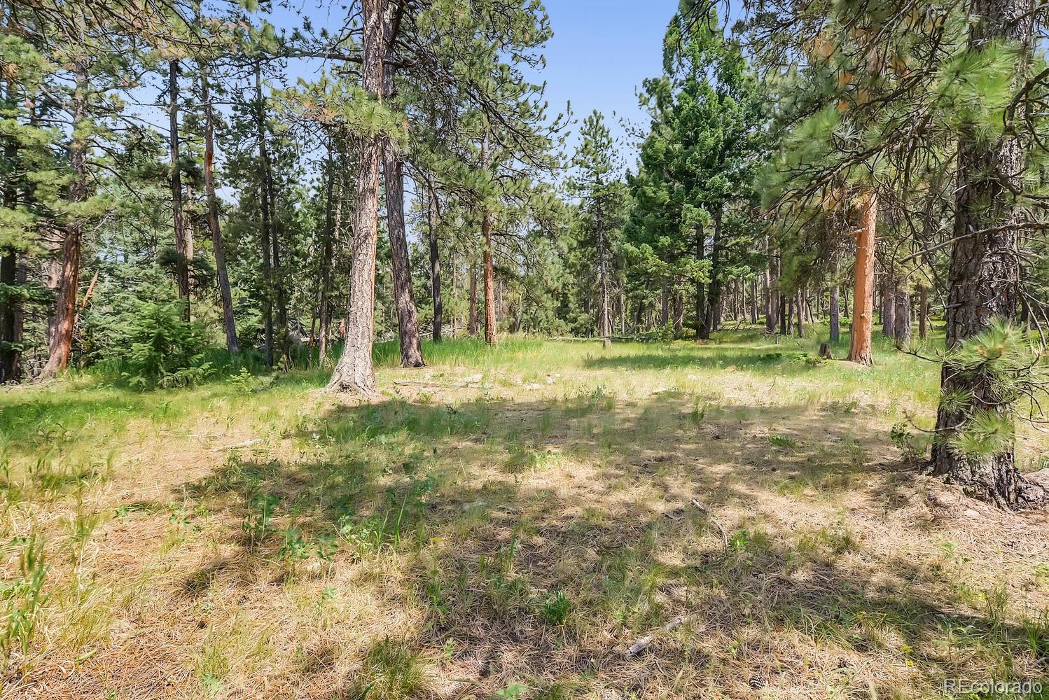 10250 Highway 73 Conifer CO 80433