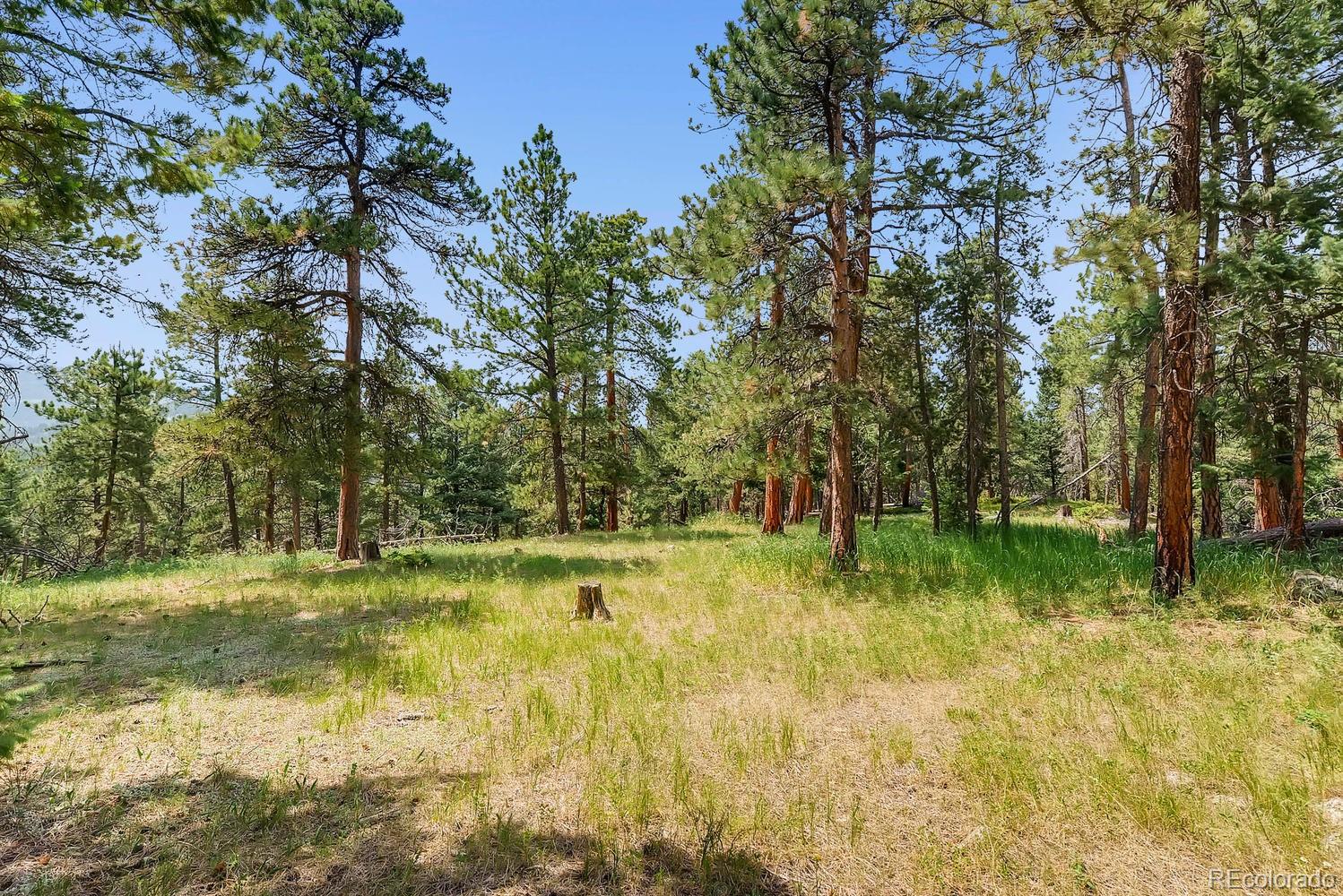 10250 Highway 73 Conifer CO 80433