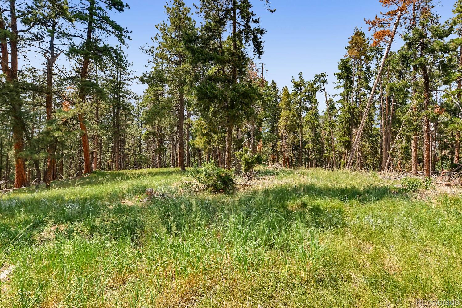10250 Highway 73 Conifer CO 80433
