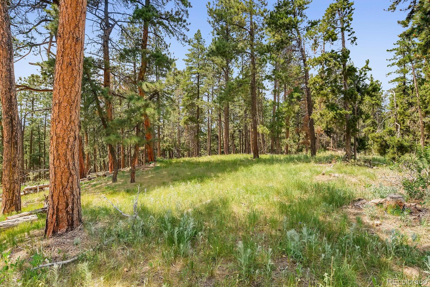 10250 Highway 73 Conifer CO 80433