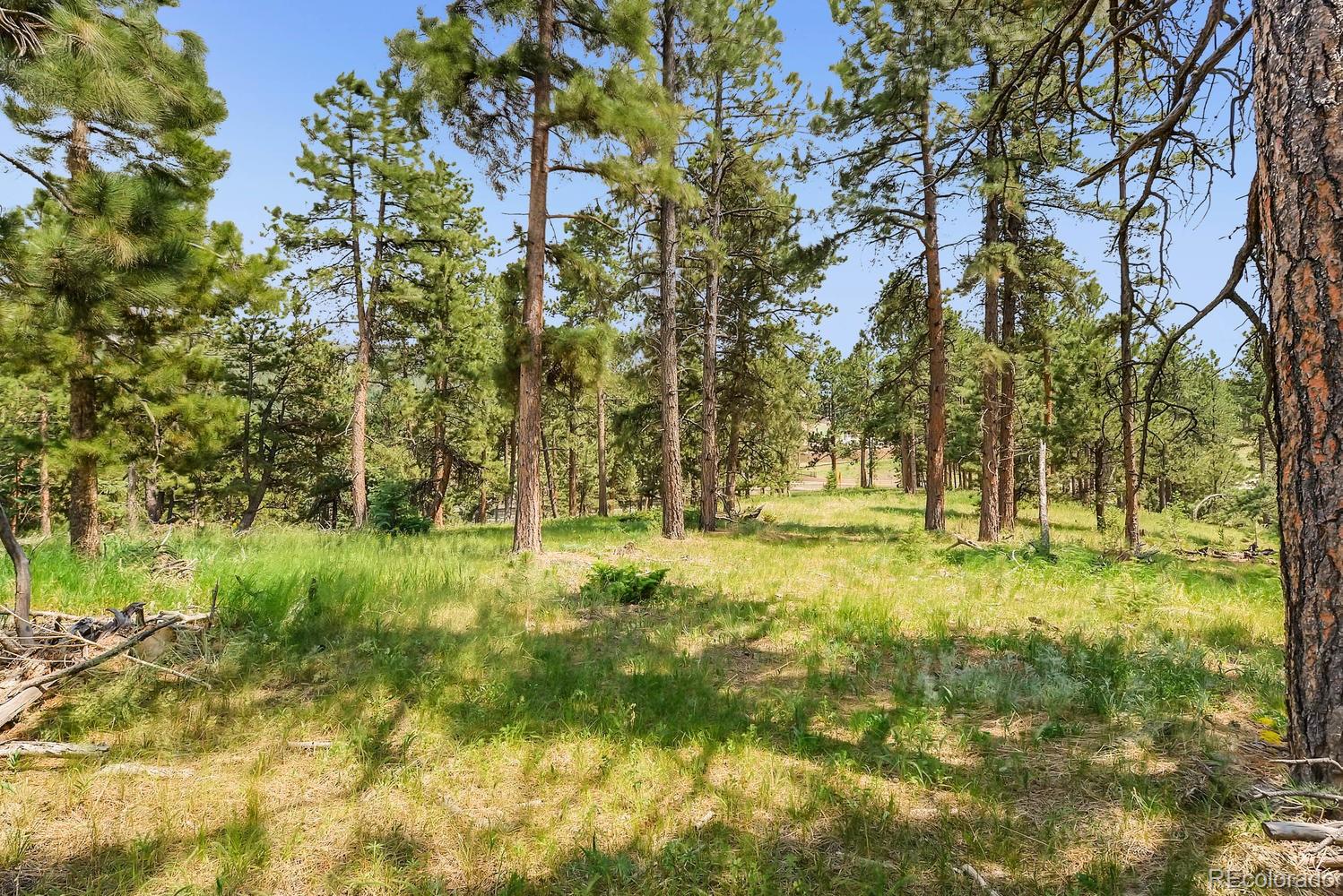 10250 Highway 73 Conifer CO 80433