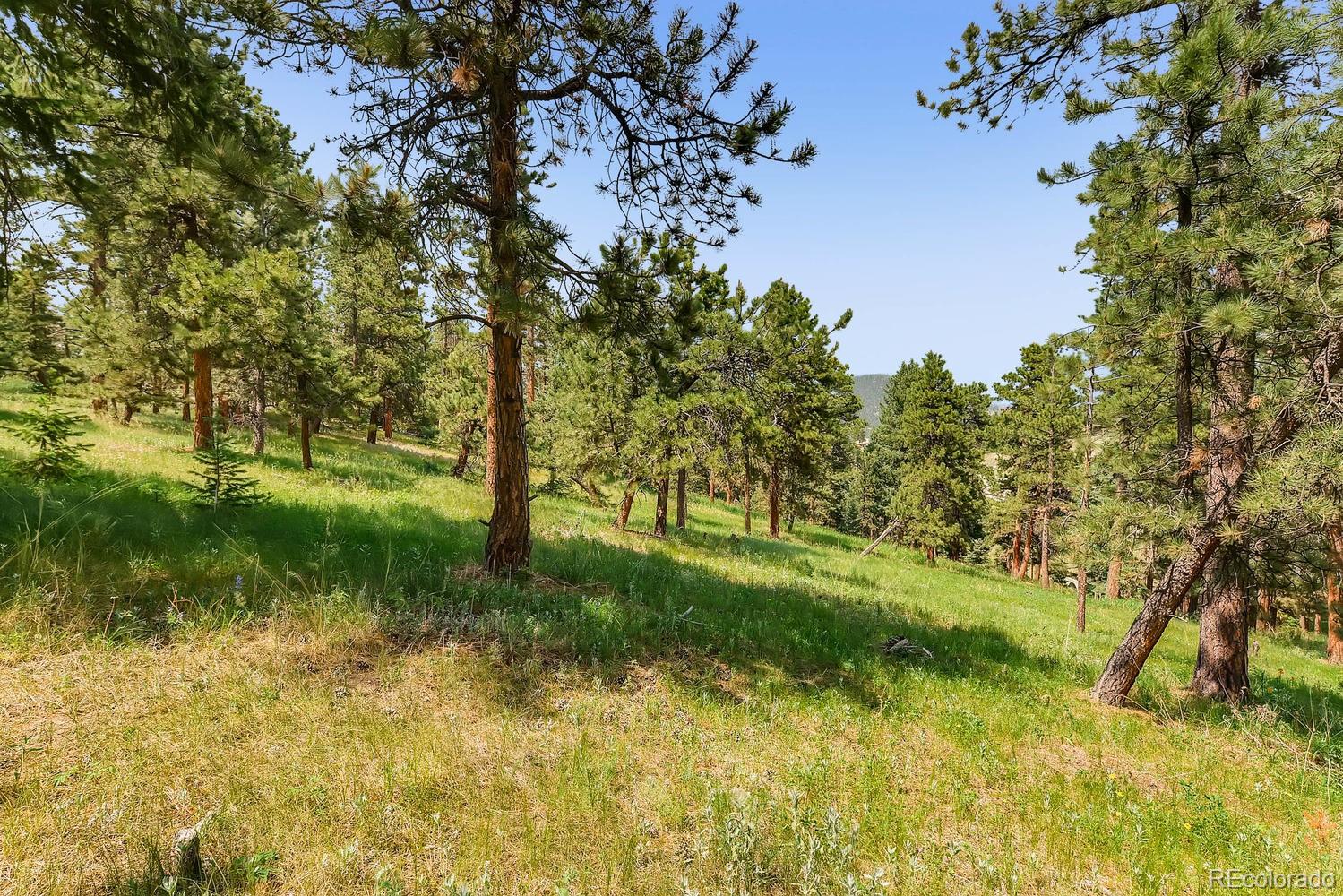 10250 Highway 73 Conifer CO 80433