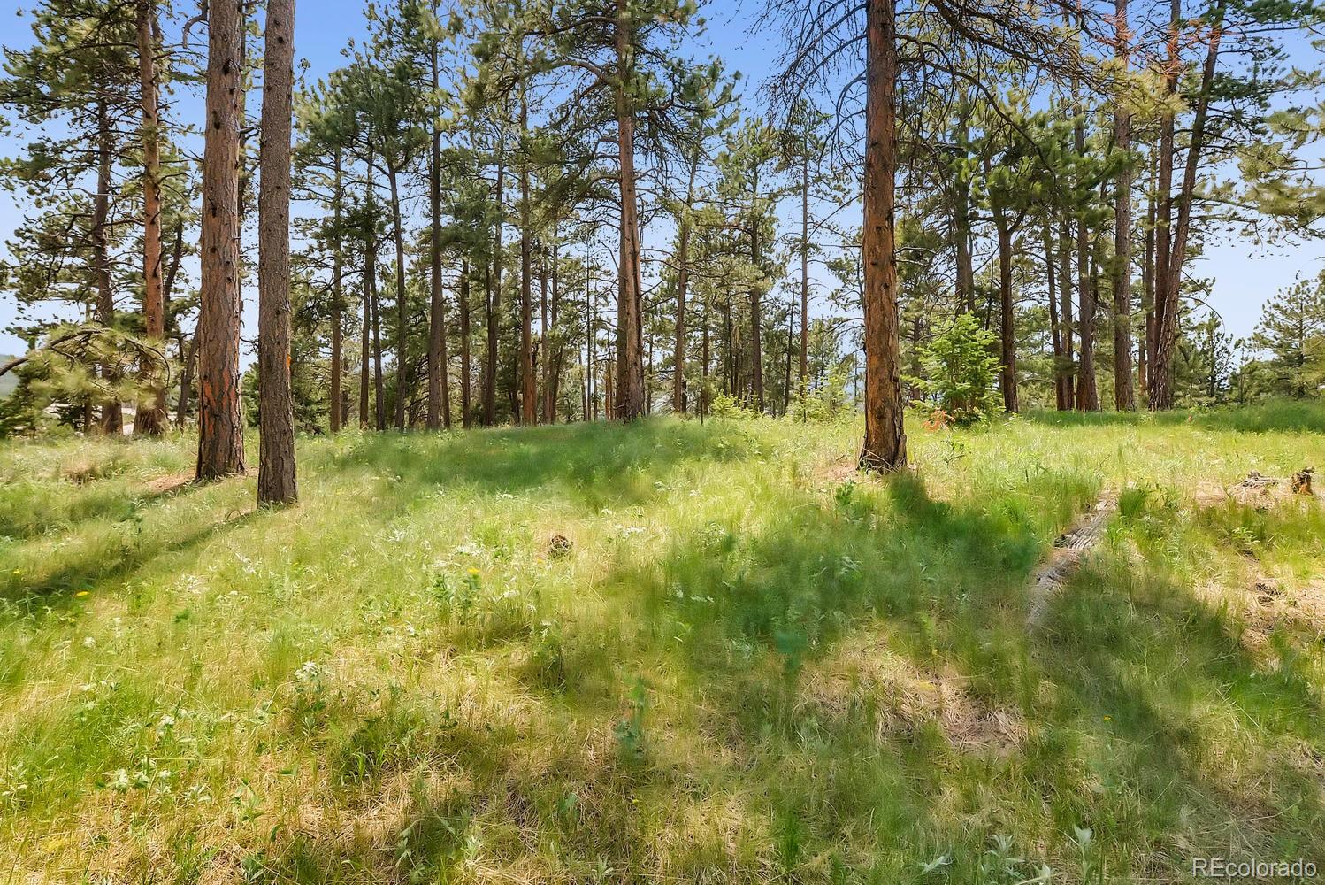 10250 Highway 73 Conifer CO 80433