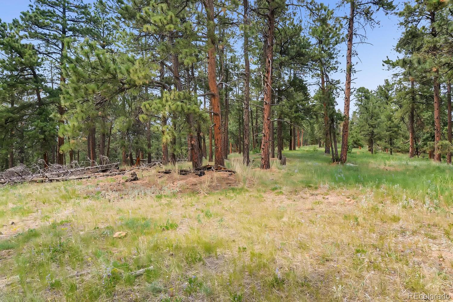 10250 Highway 73 Conifer CO 80433