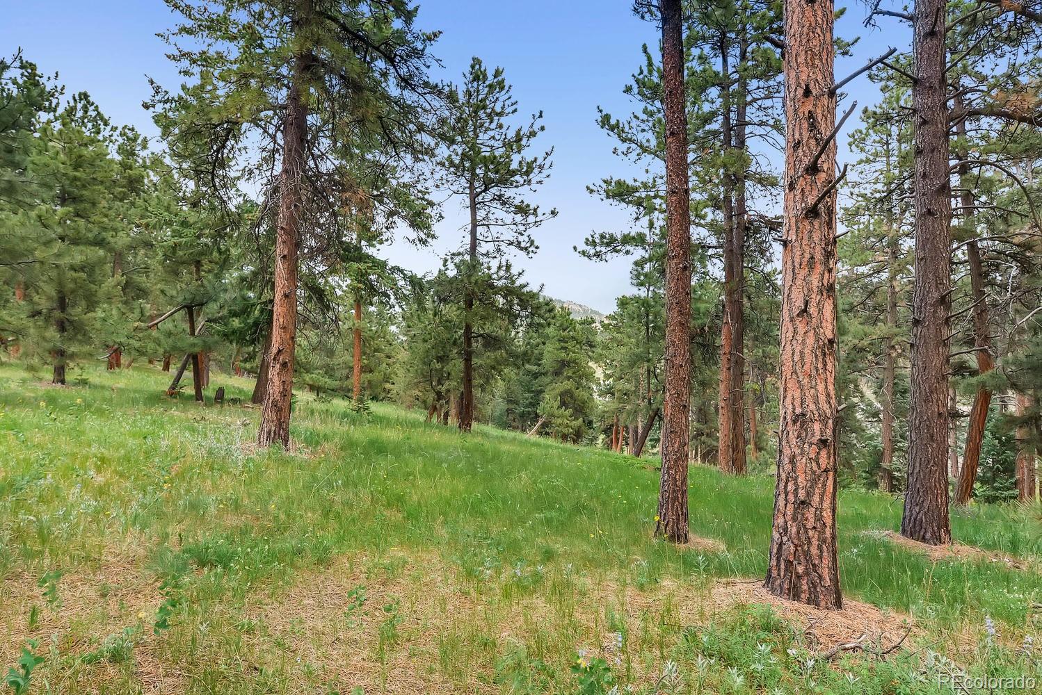 10250 Highway 73 Conifer CO 80433