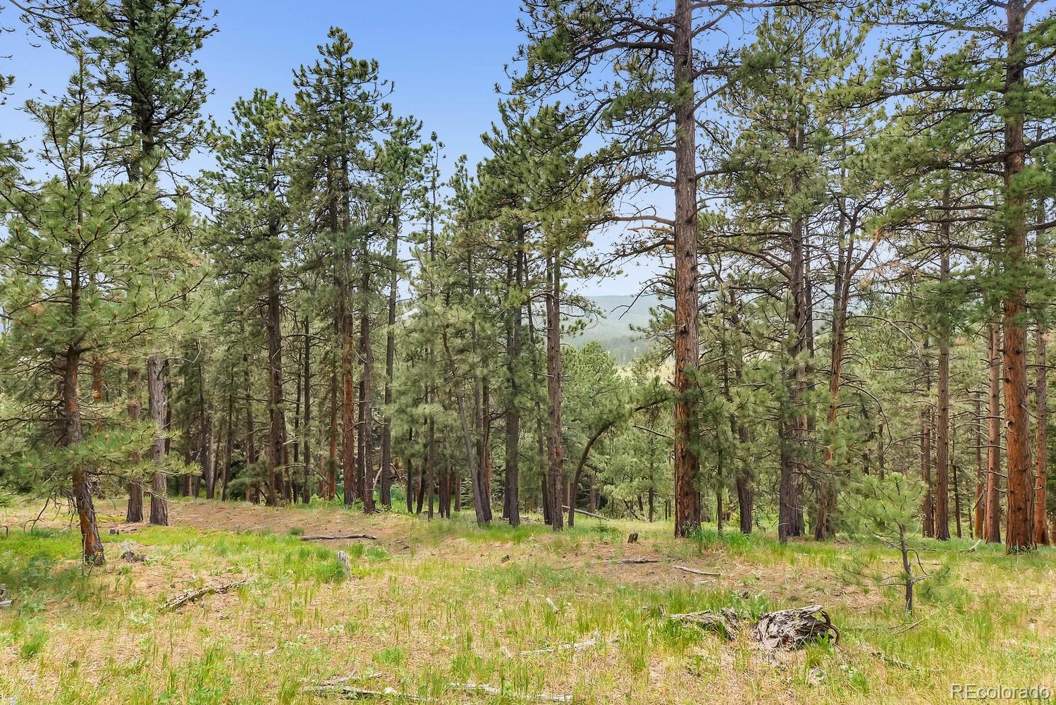 10250 Highway 73 Conifer CO 80433